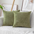 Home Brilliant Sage Green Spring Pillow Covers Chenille Velvet Plush Decorative Throw Pillow for Couch Sofa Decor, 2 Packs 18x18 inch (45cm), Fres...