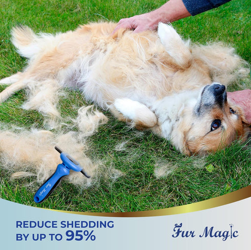 Large Deshedding Tool & Dematting Comb – Grooming Brushes for Dogs, Cats, Horses – Reduce Shedding and Remove Knots, Mats and Loose Undercoat...