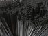 Tall Plastic Coffee Stir Sticks - 7 Inch Coffee Stirrer Sip Straws (Black, 1000)...
