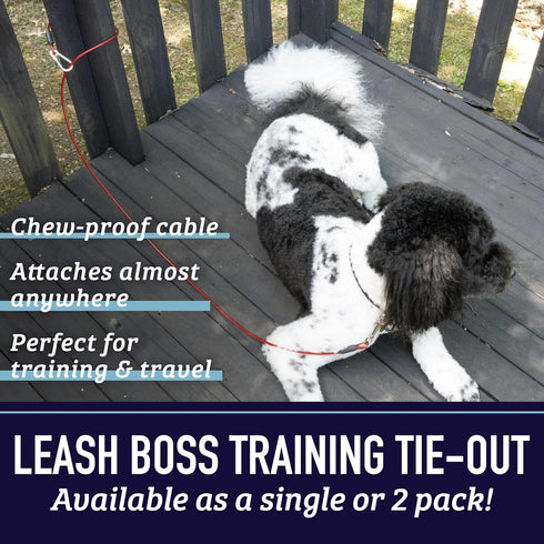 Leashboss 2 Pack Dog Tie Out Cables for Large Dogs - 5 Ft Heavy Duty Tether for Outside Dog Runner - Durable, Chew-Proof, Dog Lead for Yard, Campi...