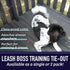 Leashboss 2 Pack Dog Tie Out Cables for Large Dogs - 5 Ft Heavy Duty Tether for Outside Dog Runner - Durable, Chew-Proof, Dog Lead for Yard, Campi...