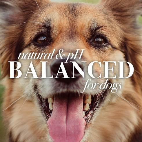 Burt's Bees for Pets Naturally Derived Deodorizing Spray for Dogs - Best Dog Spray for Smelly Dogs - Made with Apple & Rosemary - Cruelty Free, Fo...
