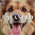 Burt's Bees for Pets Naturally Derived Deodorizing Spray for Dogs - Best Dog Spray for Smelly Dogs - Made with Apple & Rosemary - Cruelty Free, Fo...