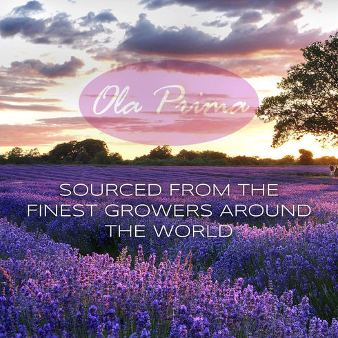 Ola Prima Rose Geranium Essential Oil - Premium Grade for Aromatherapy, Diffuser, Candle & Soap Making, Dropper - 4 fl oz - Rose Geranium - Rose O...