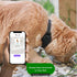 Tile Sticker Cat Collar Holder: The Smallest, Lightest, and Most Comfortable Tracking Case for Cats - Track Your Pet With iPhone Samsung Android D...