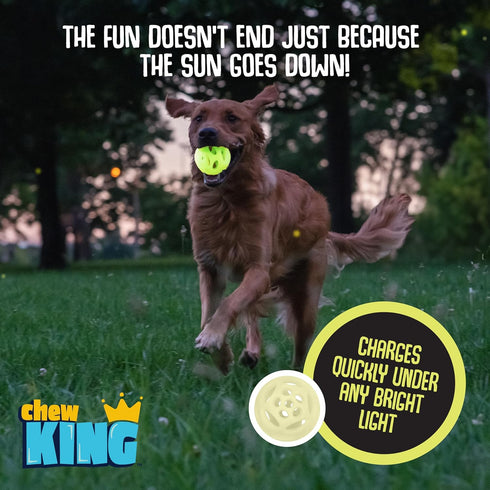 Chew King Glowing Fetch Ball, Dog Ball Toys, Medium 2-Pack Lattice...