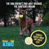 Chew King Glowing Fetch Ball, Dog Ball Toys, Medium 2-Pack Lattice...