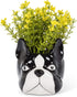 Abbott Collection 27-MINIKIN-068-LG Large Dog Head Planter, Black/White...