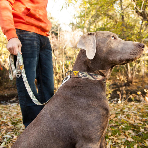 Browning Pet Leashes, Classic Webbing Camo Leash One Size, One Size, Realtree MAX-7...