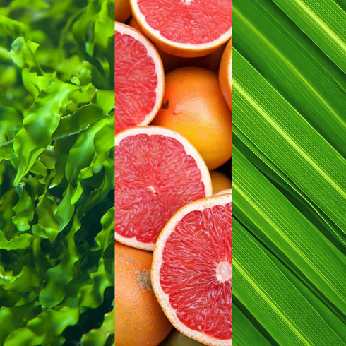 Mario Badescu Alpha Grapefruit Toner for Combination, Dry & Sensitive Skin, Alcohol-Free Face Toner with Grapefruit Extract & Aloe Vera, Gently Ex...