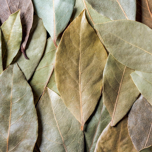 GranAroma Ground Bay Leaves, 7.2 oz, Savory Flavor, Soups & Sauces, Pickling Spice...