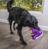 goDog Dinos Bruto Squeaky Plush Dog Toy, Chew Guard Technology - Purple, Large...