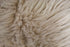 Nouvelle Legende Faux Fur Sheepskin Rug Single, Soft, Plush, Premium High-Pile Accent Rug for Bedrooms, Hallways & Living Spaces, Warm & Cozy, Fau...