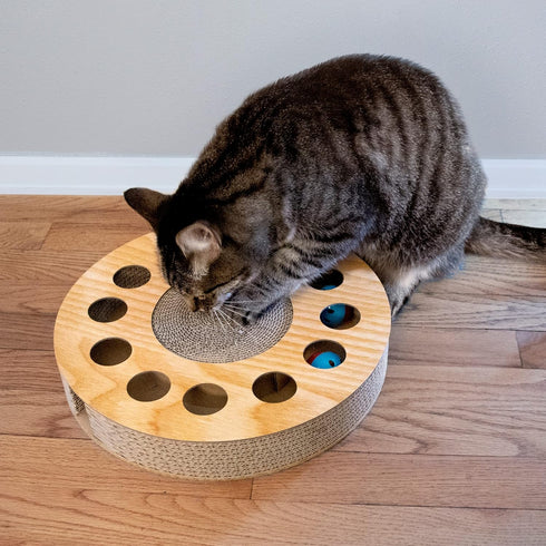 Furhaven Scratching Pad Ball Track Cat Toy w/ Catnip for Indoor Cats - Round Busy Box Scratcher - Tan, One Size...