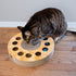 Furhaven Scratching Pad Ball Track Cat Toy w/ Catnip for Indoor Cats - Round Busy Box Scratcher - Tan, One Size...