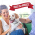 Nature's Miracle Freshening Spray For Dogs Freshens Dog’s Coat Between Baths And Neutralizes Tough Odors With Sunkissed Breeze Scent, 8 Ounces...