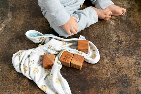 Copper Pearl Baby Security Blanket Set of 2 - Portable Size for Self-Soothing On-The-Go, Ideal Baby Blankets for Boys and Girls, Ultra-Soft, and G...