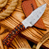 Predator 9" Damascus Steel Fixed Blade Hunting Knives Skinning Knife For Outdoor Camping Skinner Bushcraft Knives with Ergonomic EDC Exotic Wood H...