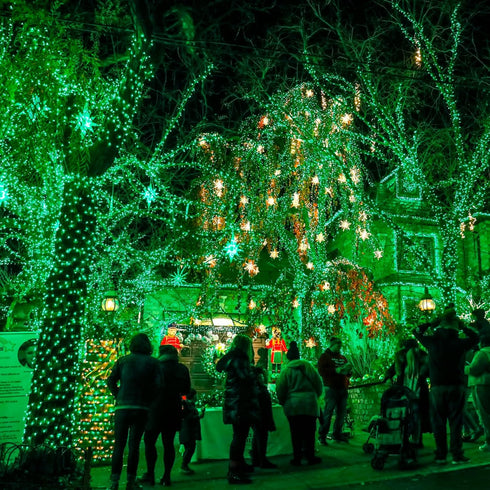 Dazzle Bright Fairy Lights Battery Operated, 20 FT 60 LED Silver Wire St. Patrick's Day Waterproof Battery Operated String Lights, Christmas Decor...