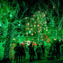 Dazzle Bright Fairy Lights Battery Operated, 20 FT 60 LED Silver Wire St. Patrick's Day Waterproof Battery Operated String Lights, Christmas Decor...