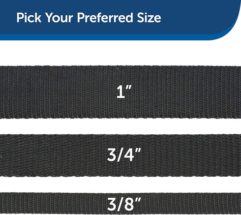 PetSafe Nylon Dog Leash - Strong, Durable, Traditional Style Leash with Easy to Use Bolt Snap - 1 in. x 4 ft., Black...