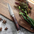 PAUDIN Paring Knife, 3.5 Inch Fruit Knife, High Carbon 5Cr15Mov Stainless Steel Forged Paring Knife, Ultra Sharp Small Kitchen Knife, Ergonomic Wo...