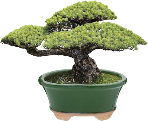 Glazed Ceramic Bonsai Pot - Decorative Planter for Dwarf Trees, Succulents, and Small Plants - Perfect for Indoor and Outdoor Gardens, Table Cente...