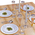 Silver Spoons Disposable Plates For Party - (20 Piece) Heavy Duty Disposable Dinner Set 7.5” , Fine Dining Plastic Dishes For Elegant China Look, ...