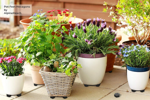 Extra Heavy Duty Pot Feet Risers 12 pack Hexagons & Adhesive Pads - Protect Healthy Plants - Strong Invisible Supports Small Large Flower Planters...