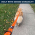 Nylon Dog Leash with Locking Carabiner for Large Medium Small Breeds – Heavy Duty Reflective Nylon Lead with Padded Handle for Everyday Walking, R...