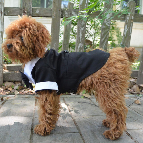 Lovelonglong Pet Costume Dog Suit Formal Tuxedo with Black Bow Tie for Small Size Dogs Miniature Schnauzer Clothing Black L...