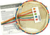 Dimensions Snail Animal Embroidery Starter Kit for Beginners, 6" Diameter, 5 Piece......