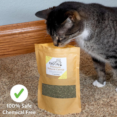 Kitty City Cat Premium Natural Catnip Tin, Premium Catnip Bag, Catnip with Silvervine, Catnip Spray...