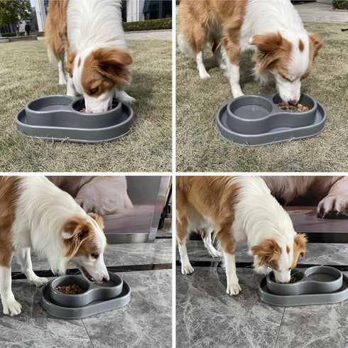 PetLike Ants Away Double Dog Water and Food Bowls,6 cups/48oz Pet Feeder Bowls for Puppy Medium Large Dogs Cats (Grey, 15.5X9.5X2.75 INCH)...