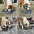 PetLike Ants Away Double Dog Water and Food Bowls,6 cups/48oz Pet Feeder Bowls for Puppy Medium Large Dogs Cats (Grey, 15.5X9.5X2.75 INCH)...