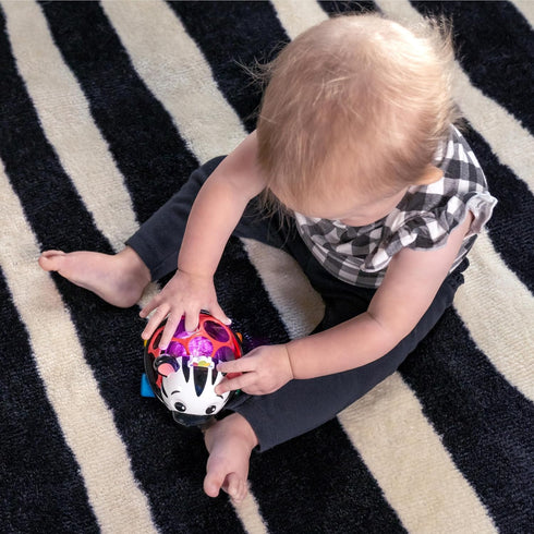 Baby Einstein Curious Car Zen Oball Toy Car & Rattle, Light Up, Ages 3 Months+, Zen The Zebra...
