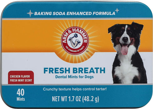 Arm & Hammer for Pets Dental Mints for Dogs, Fresh Breath | Get Fresh Doggie Breath Without Brushing, Way to Fresher Dog Breath | Chicken Flavor, ...