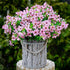 Artificial Flowers for Outdoors Fake Plants - 16 Bundles Faux Outside Greenery Boxwood No Fade Plastic Shrubs Fall Decor Farmhouse Home Garden Tha...