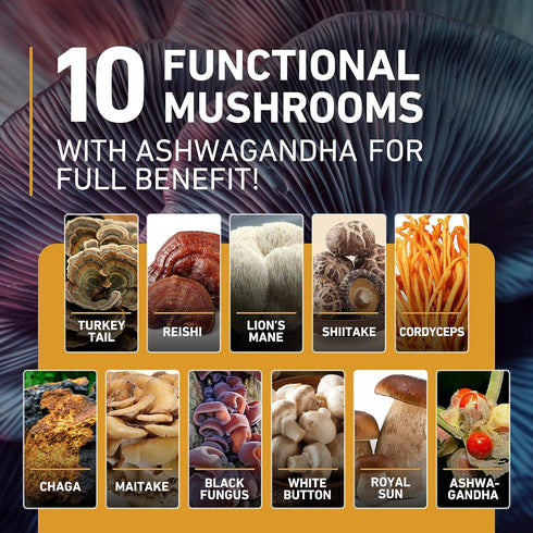 Mushroom Gummies 10 Blend 120 pcs - Lions Mane, Ashwagandha, Turkey Tail, Cordyceps, Chaga, Reishi Mushroom Complex - Mushroom Supplement for Immu...