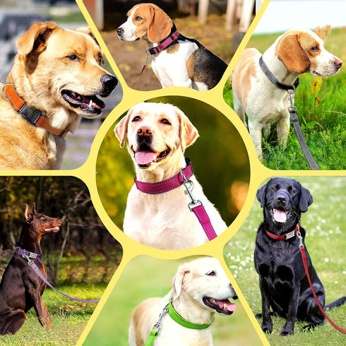 Double-Sided Reflective Dog Leash for Large & Medium and Small Dogs, Strong and Durable Pet Nylon Leashes with Soft Padded Handle Leashes,Puppy Le...