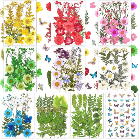 Nuanchu 223 Pcs Real Dried Pressed Flowers for Crafts Natural Dried Leaves and Butterfly Stickers Set Colorful Daisy Flowers and Adhesive Butterfl...