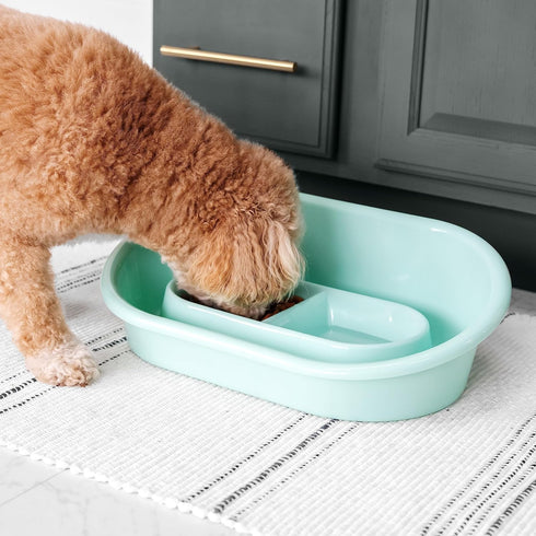 SPORT PET High Walled Double Diner Tray, Blue...