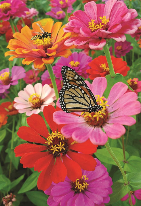 Decorative Zinnia Butterfly Honeybee Garden Flag Colorful Spring Summer Blooms Double Sided 12.5 X 18 Inch...
