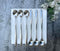 6 Piece Set Long Handle Spoon 8.5 inch Ice Tea Spoon Premium 18/10 Stainless Steel (SUS 304#) for Mixing, Cocktail Stirring, Tea, Coffee, Milkshak...