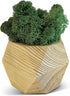 Untitled Succulent Planter - Wooden Pot for Small Flower or Preserved Moss - Indoor Plant Pot for Succulents or Faux Plants - Moss Pots (Natural)...