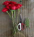 8" Bonsai Cutter Pruning Shear tool used for Gardening, Arranging Flowers, Trimming Plants, Branches, Stainless Steel Red White Handles...