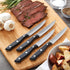 Farberware Full-Tang Triple-Riveted 8-Piece Steak Knife Set, High-Carbon Stainless Steel, Razor-Sharp Knives with Ergonomic Handle, Kitchen Knives...