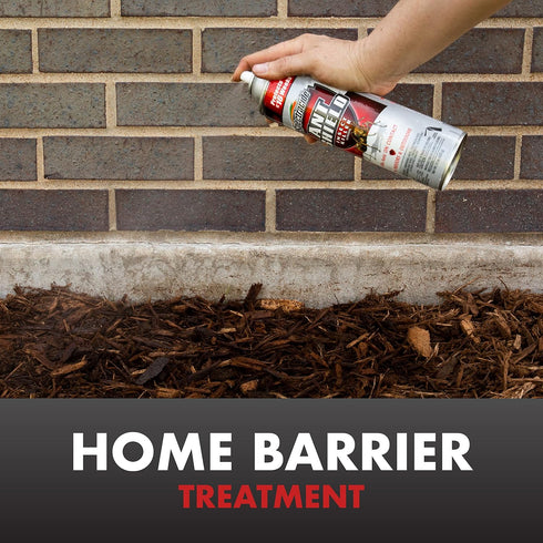 15 Oz Ant Shield Insect Killer Aerosol...