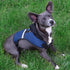 Pets First Collegiate Pet Accessories, Hooded Harness, Wisconsin Badgers, Medium...
