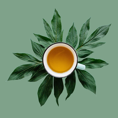 Flowery Jasmine, Loose Leaf Green Tea - Caffeinated | bulk 8oz, 80-100 cups | The Spice Hut, First Sip of Tea...